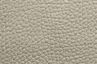 粗牛皮 2 粗牛皮 2