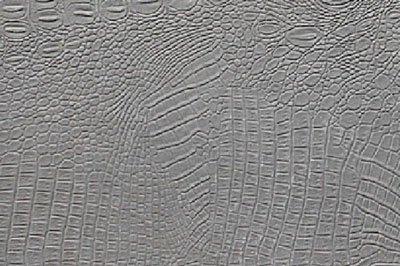 鱷魚(yú)皮 鱷魚(yú)皮