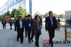 市人大常委會領導蒞臨寶潤達視察工業(yè)轉(zhuǎn)型工作