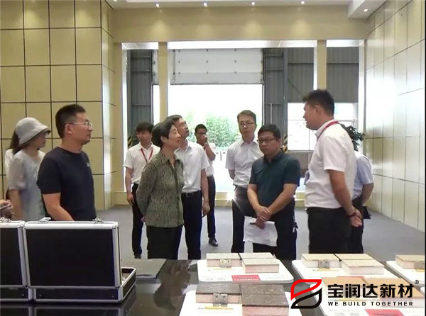 國家住建部專家組蒞臨寶潤達參觀考察 國家住建部專家組蒞臨寶潤達參觀考察